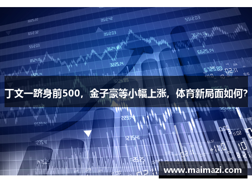 丁文一跻身前500，金子豪等小幅上涨，体育新局面如何？